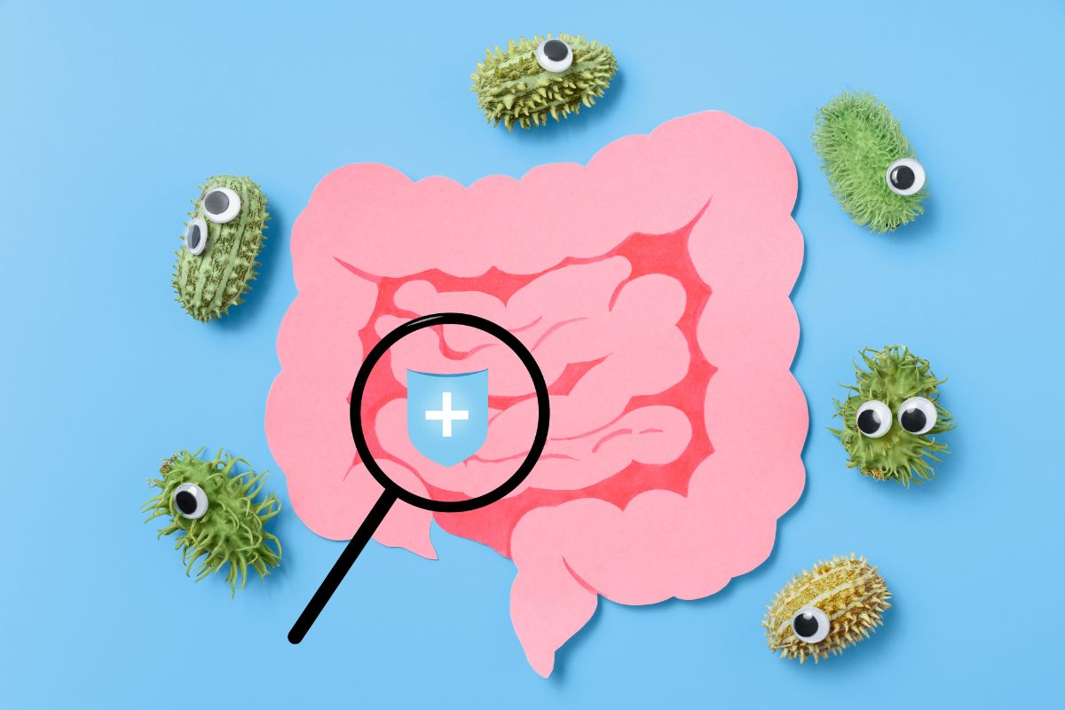 As bactérias intestinais podem ser as vilãs do seu corpo desde a infância até a velhice – Veja como mudar isso 1 bactérias intestinais.