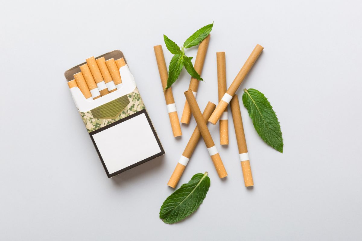 Cigarro mentolado: um perigo silencioso para a saúde do coração 1 cigarro mentolado.