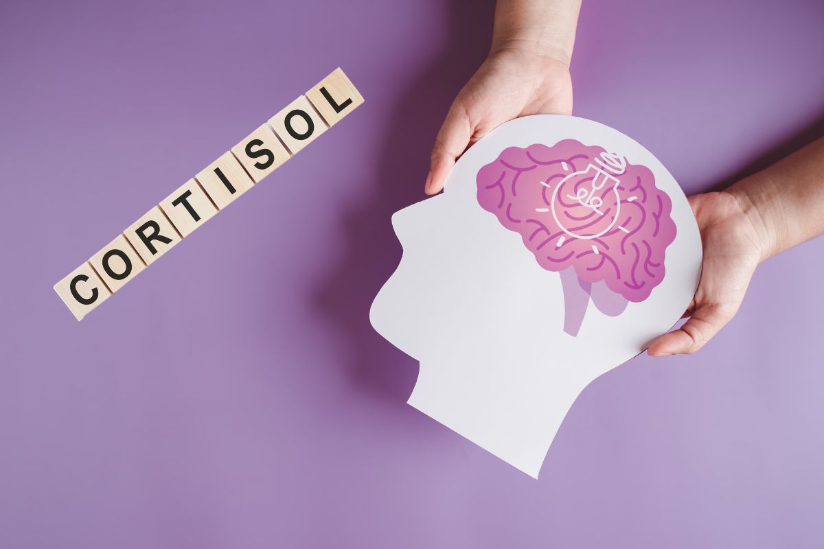 Como reduzir o cortisol? Veja dicas para equilibrar o hormônio do estresse 1 como reduzir o cortisol.