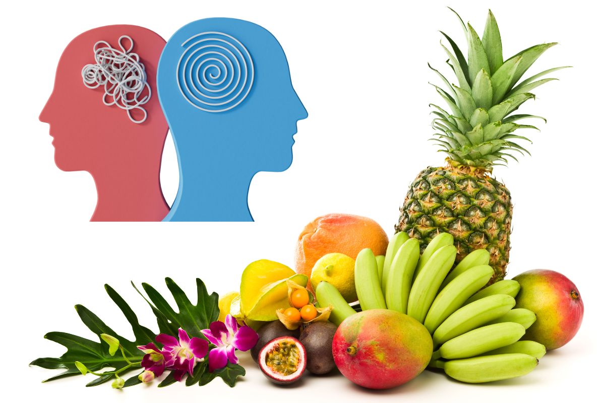 Extratos de frutas e vegetais podem turbinar o cérebro: estudo revela benefícios surpreendentes para a saúde mental 1 frutas e cérebro.