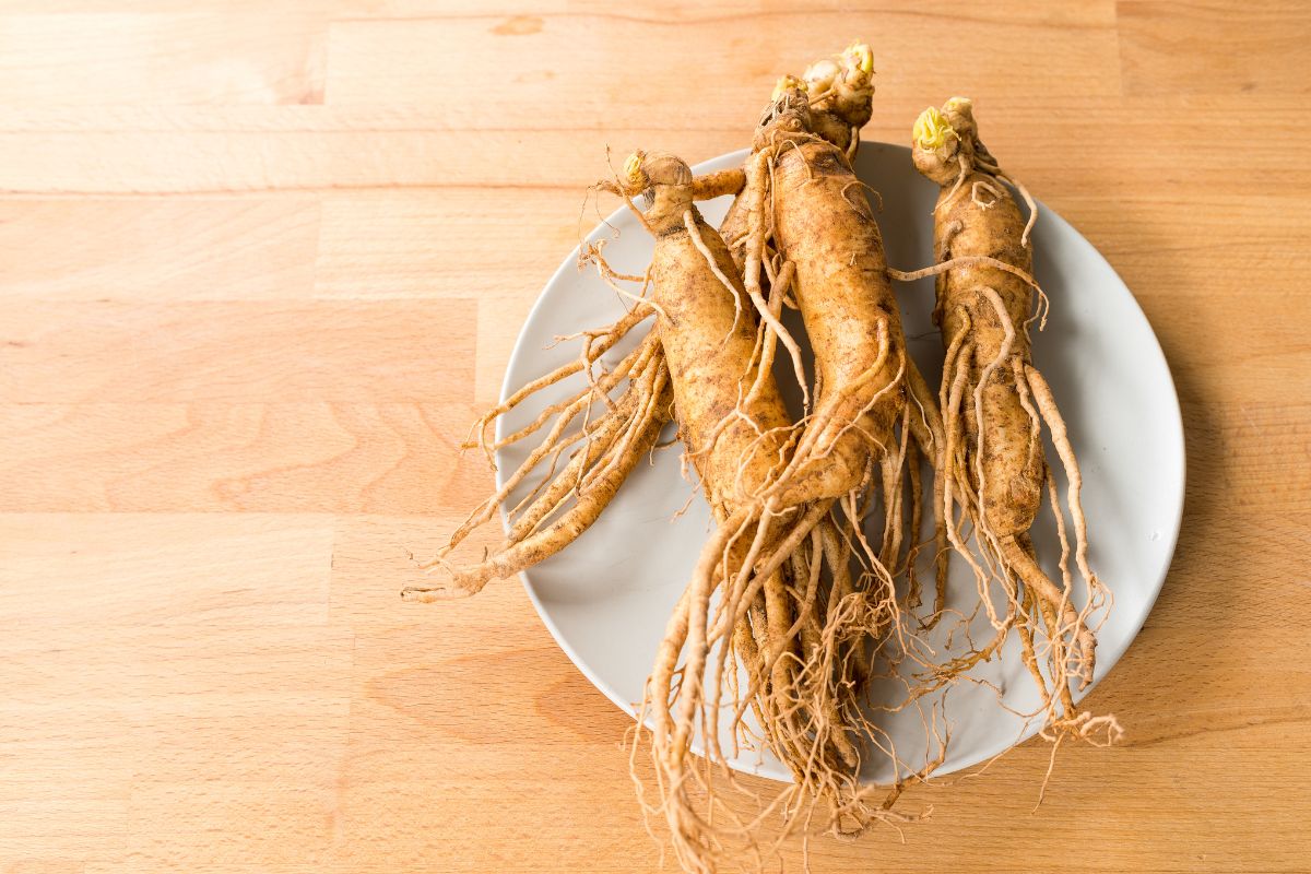 Ginseng Vermelho: Descubra 7 benefícios dessa raiz poderosa para a saúde 1 ginseng vermelho.