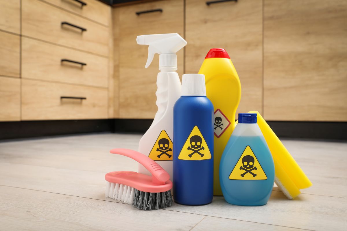 Essas MISTURAS CASEIRAS podem estar colocando sua FAMÍLIA e seus PETS em RISCO 1 misturinhas caseiras.