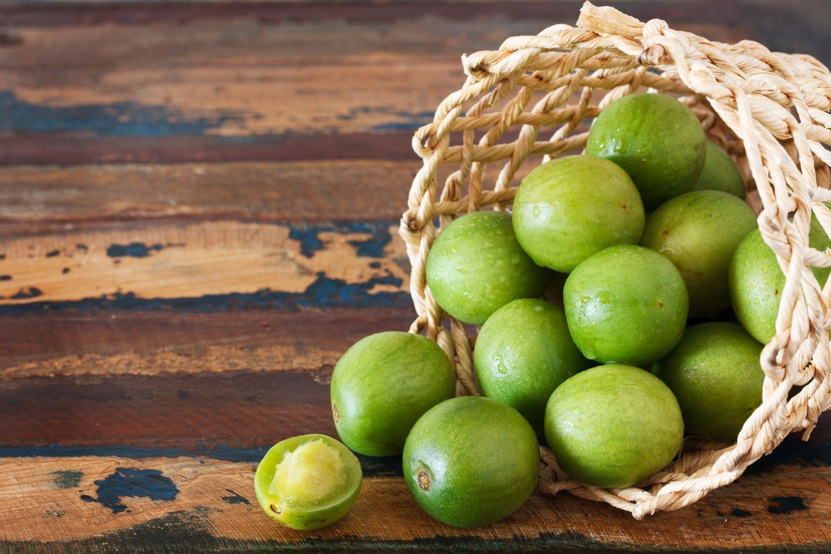 Umbu é Inflamatório? Descubra os benefícios e efeitos para a saúde 1 Umbu é inflamatório?
