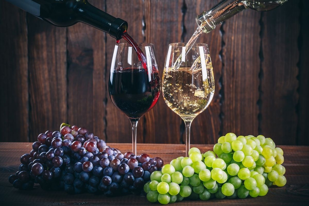 Vinho tinto ou branco: qual o melhor para a saúde? Descubra o que a ciência descobriu 1 Vinho tinto ou branco: qual o melhor para a saúde?