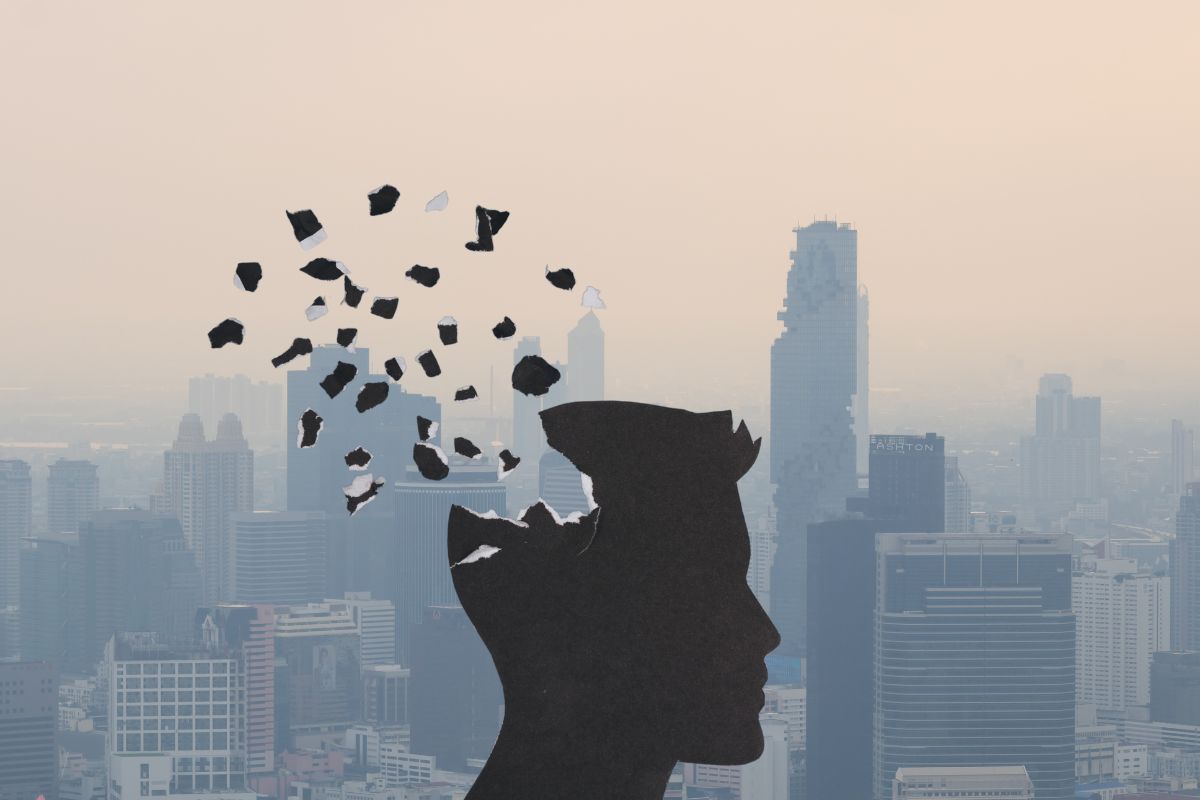 Consequências da poluição do ar no cérebro: estudo aponta risco de Alzheimer e perda de memória 1 consequências da poluição do ar.