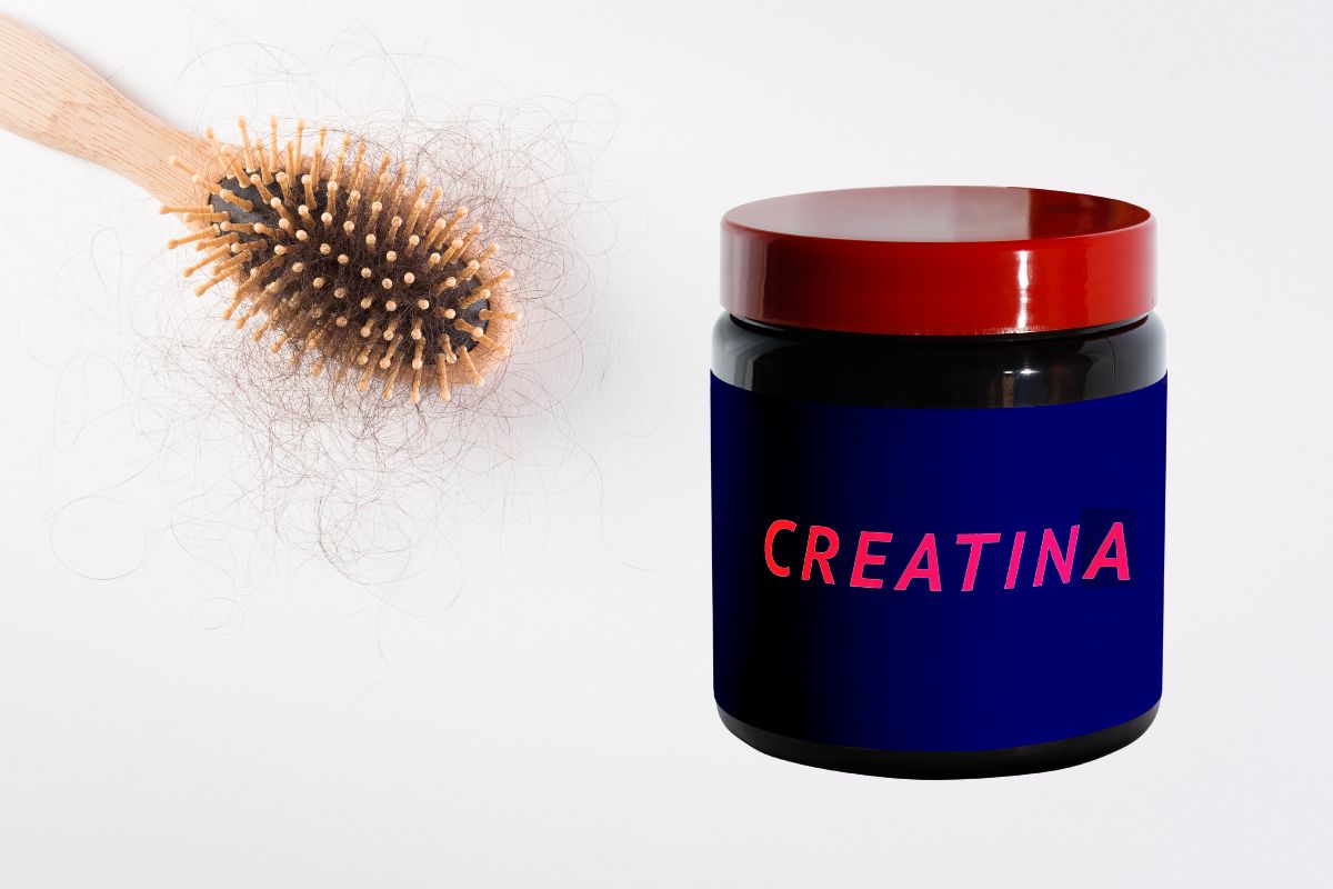 Creatina causa queda de cabelo ou faz os fios crescerem? A resposta vai te surpreender 1 Creatina causa queda de cabelo.