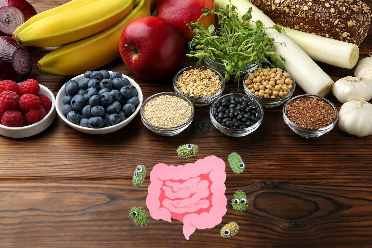 Estudo aponta: esses são os alimentos com mais prebióticos naturais para o seu intestino 1 prebióticos naturais.