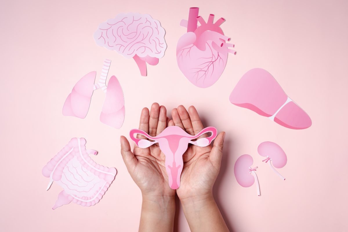 É verdade que existem 76 sintomas da menopausa? Saiba por que a condição é tão complexa 1 76 sintomas da menopausa.