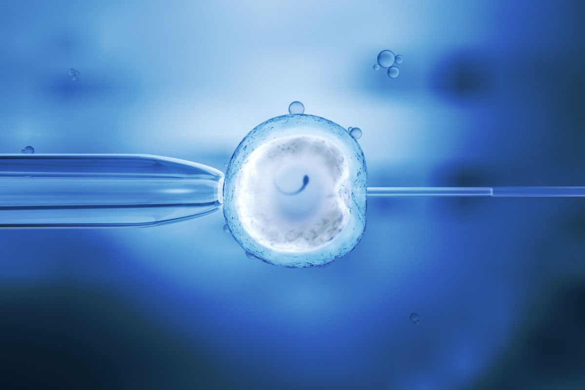 O que é fertilização in vitro? Entenda o caso da mulher que obteve o direito de usar o FGTS para o tratamento 1 Fertilização in vitro e FGTS.