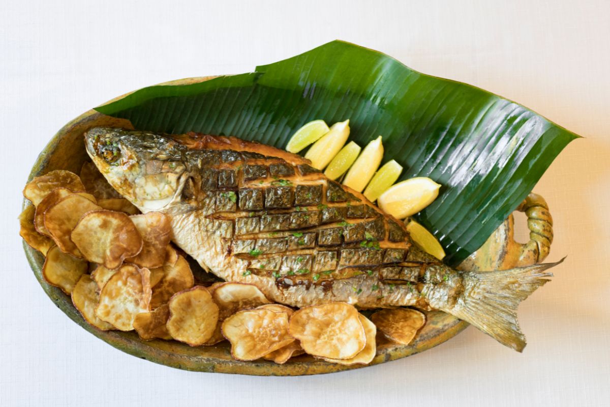 Peixe tainha é remoso? Saiba se você pode comer em casos de inflamação ou cirurgia 1 Peixe tainha é remoso.