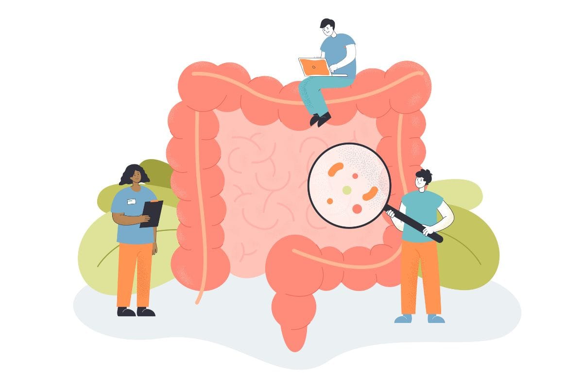 Disbiose intestinal: o desequilíbrio silencioso que afeta sua imunidade e bem-estar 1 Disbiose intestinal.