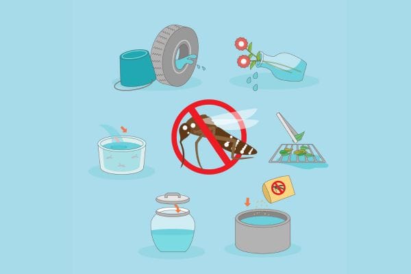 Novo medicamento transforma seu sangue em arma contra mosquitos perigosos (entenda como funciona) 2 Controle do Aedes aegypti.
