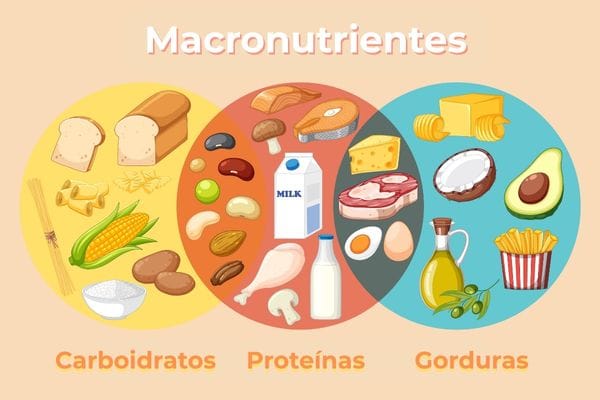 Dieta para ganhar massa muscular: o que você realmente precisa saber 2 Macronutrientes