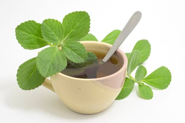 Chá de boldo pode ser perigoso para hipertensos? O que ninguém te conta sobre essa planta popular 2 Chá de boldo.