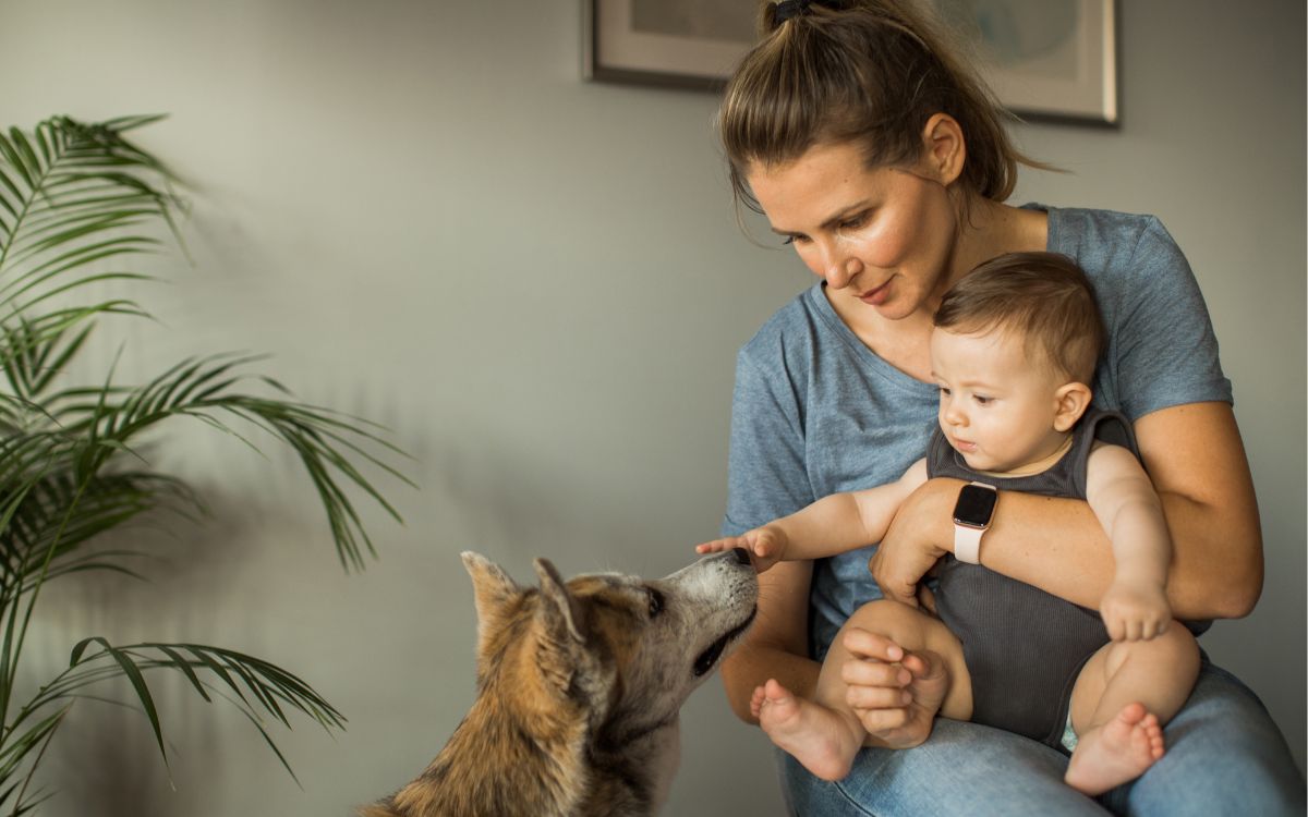 Seu cachorro pode reduzir o risco de asma infantil no seu filho, diz estudo 1 Asma infantil.