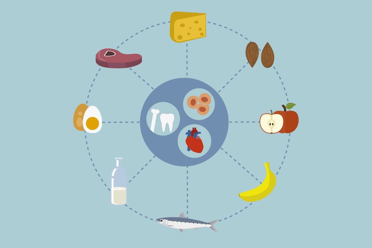 minerais alimentares.